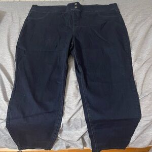 Terra & Sky Women’s jeans/pants blue 4X (28w-30w) Plus Size